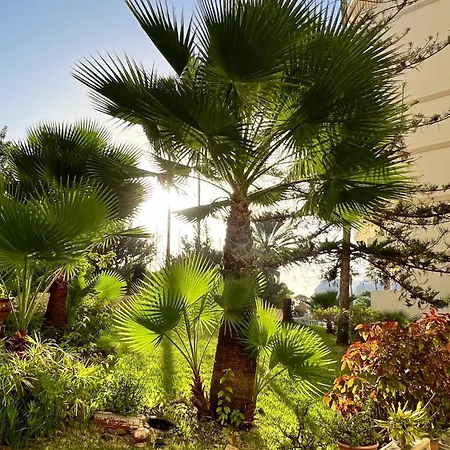 El Dorado - New Modern *