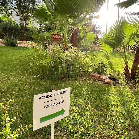 El Dorado - New Modern 美洲海滩