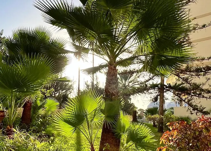 El Dorado - New Modern *