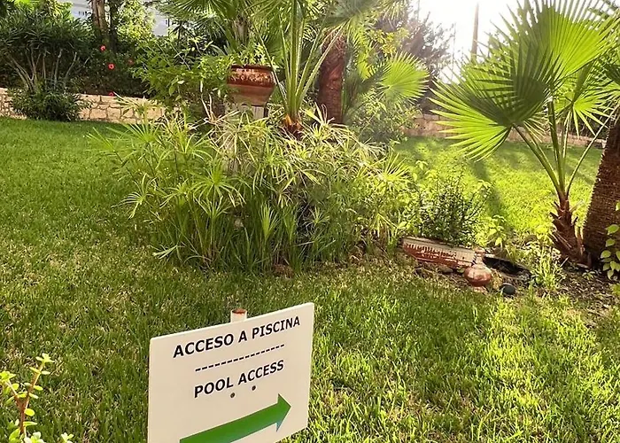 El Dorado - New Modern 美洲海滩